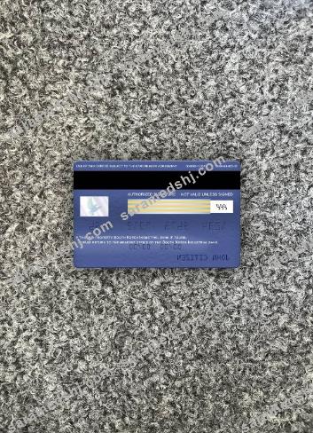 South Korea Industrial Bank visa classic card photolook back